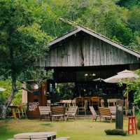 “อารีแลนด์” (Aree Land) : โครงการปลูกป่า