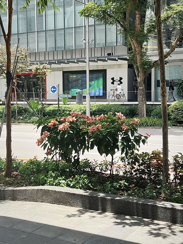 สิงคโปร์ทริปนี้มีแต่ความฟู🇸🇬