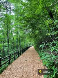 【保存版】関東日帰り登山⛰️おすすめ6選