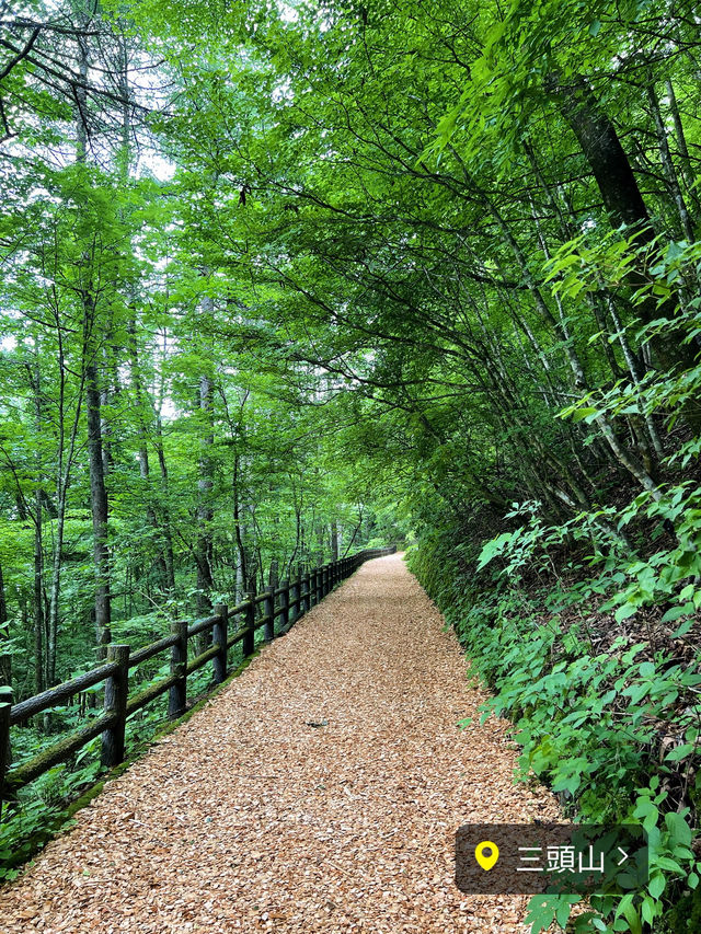 【保存版】関東日帰り登山⛰️おすすめ6選