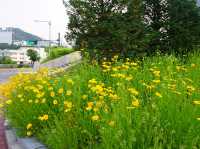 공주에서 만난 골프 여제의 흔적⛳ 세리파크 후기