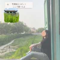 【ソウル郊外】水原で地方旅しよう✨