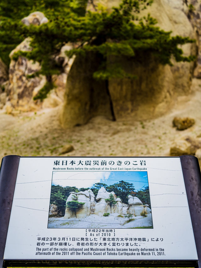  自然が作り出した奇跡！福島の「キノコ岩」へ行こう！ 