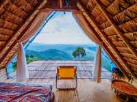- ภาคใต้ที่ฟีลเหมือนได้วาร์ปไปเหนือ! 🏕️🌿🌳