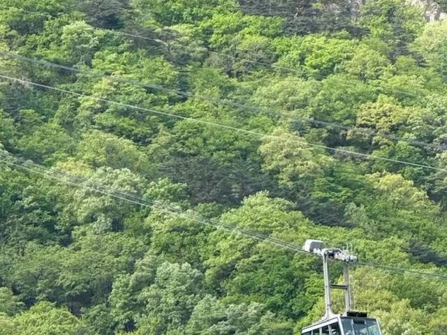 Above the Clouds: A Soulful Journey Through Seoraksan National Park