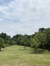 嘉義 北香湖公園 植物生態超豐富 還有兒童遊戲場可以放電！