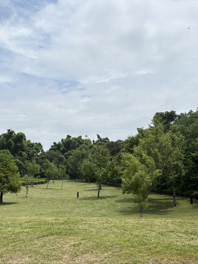 嘉義 北香湖公園 植物生態超豐富 還有兒童遊戲場可以放電！