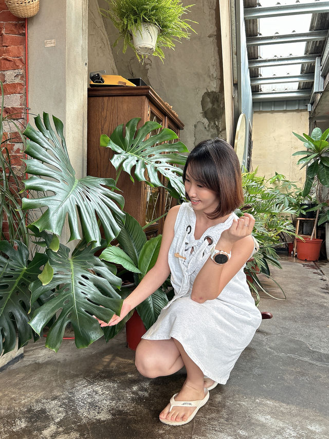 Natural coffee shop with lovely corners