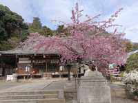 京都旅行　嵐山公園