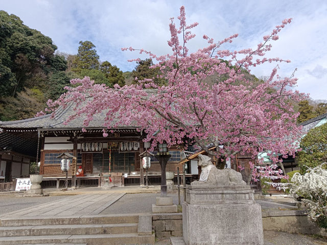 京都旅行　嵐山公園