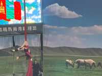 台灣的阿爾卑斯山脈風-清境農場