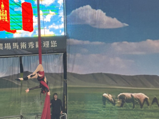 台灣的阿爾卑斯山脈風-清境農場