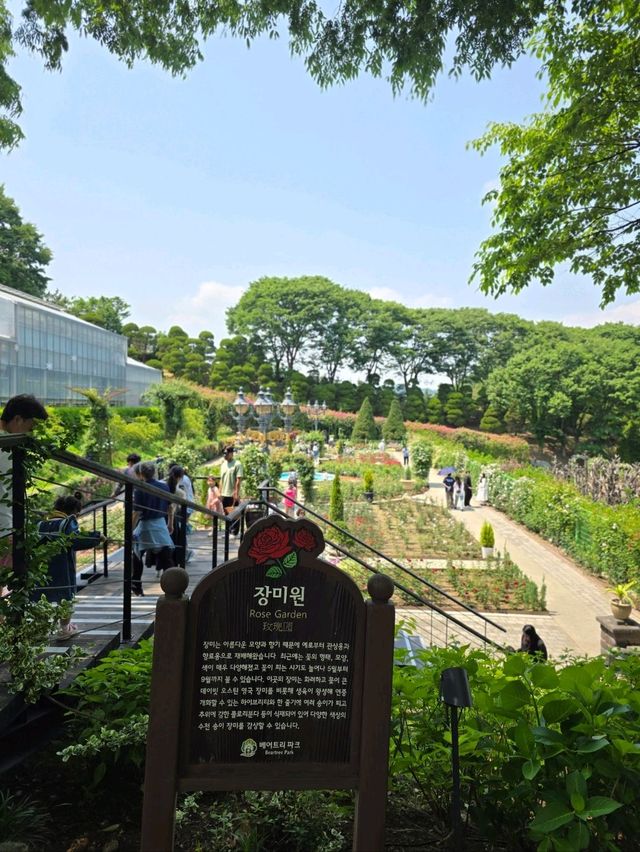 장미폭포를 만날수 있는 로맨틱 로즈가든 파티🌹