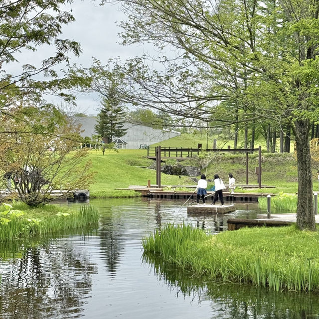 1日居ても飽きない‼️無料で超楽しい公園