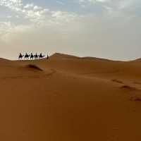 🐫🌅 Camel Trekking in the Sahara: A Magical Desert Adventure