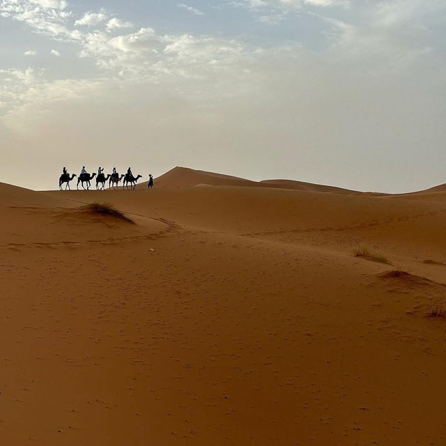 🐫🌅 Camel Trekking in the Sahara: A Magical Desert Adventure