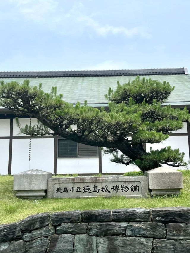Relaxing Stroll in Tokushima 🏞️🌸