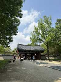 전주 경기전, 봄 감성 가득한 산책 코스🌸
