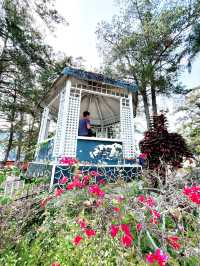Pesanggrahan Bung Karno: A Hidden Gem Overlooking Lake Toba