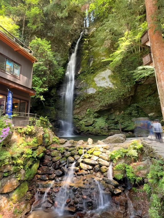 德島｜甜鹹交織木偶串在火爐邊起舞 平氏一族逃亡思鄉的琵琶瀑布