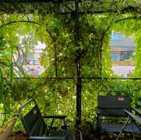 AB about coffee and garden at Lopburi 