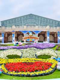 Let’s celebrate Donald Duck at Tokyo Disneyland