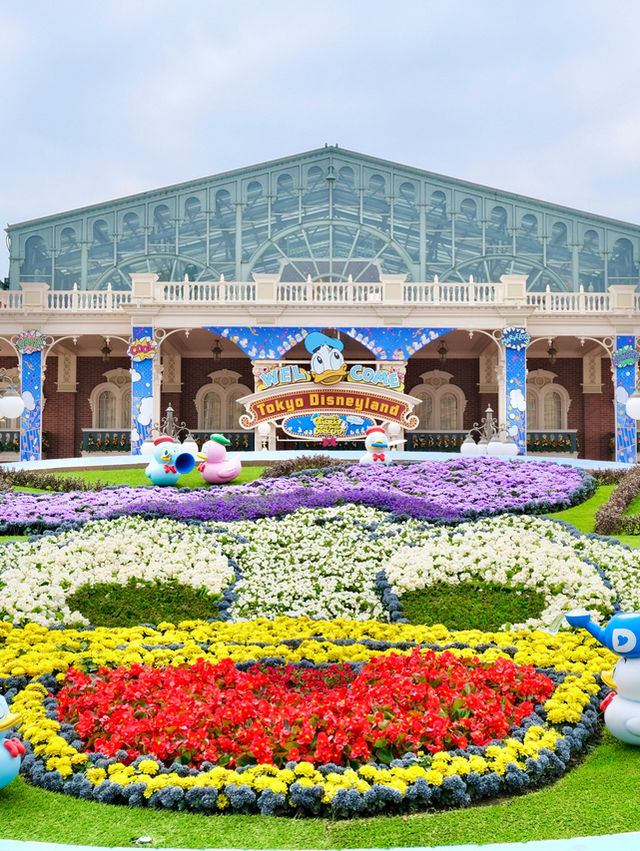 Let’s celebrate Donald Duck at Tokyo Disneyland