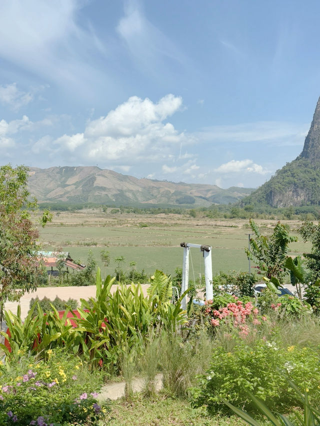 Cafe Pha Leuang คาเฟ่ที่วิวดีที่สุดในเมืองเฟือง