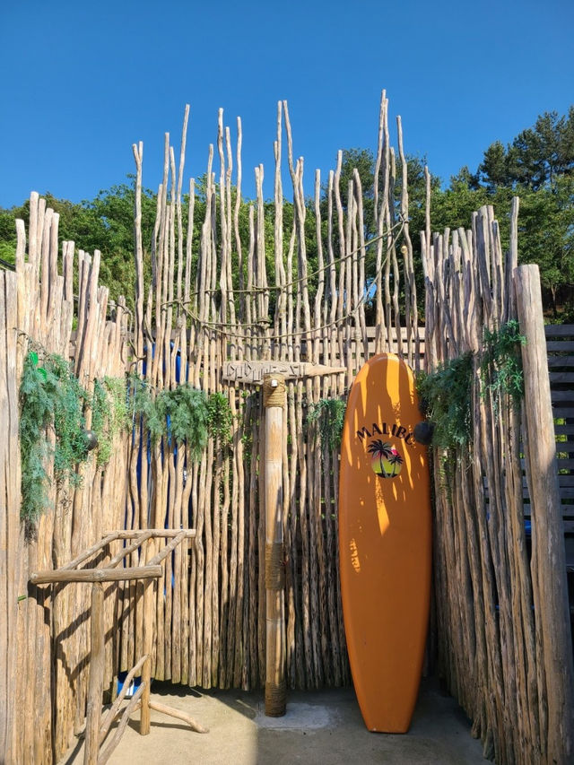 🍭🫧강원도 양양 죽도해수욕장 두둥실
