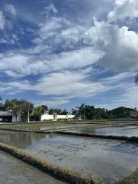 8 Days in Bali