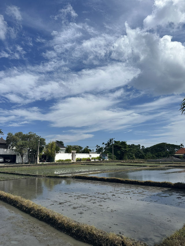 8 Days in Bali