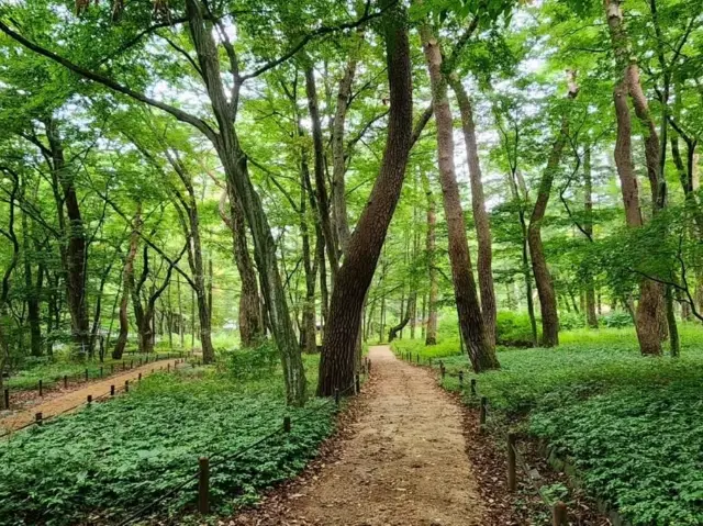 자연 속에서의 휴식, 보은에서의 하루
