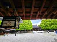 Meiji Shrine & Yoyogi Park – Tokyo’s Tranquil Core
