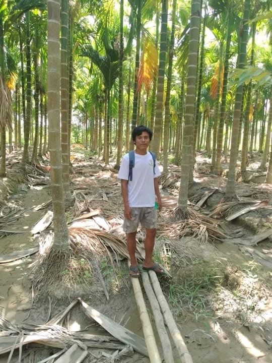 A Trip to a Betel Nut Farm