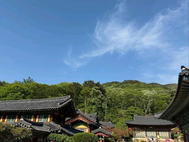 Temple Vibes & Forest Feels