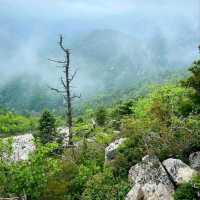 Seoraksan’s Southern Right, Less Crowds, All the Wow