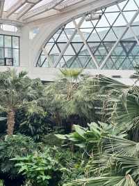 [서울식물원 방문기] 도심 속에서 만나는 초록 힐링 여행🌿