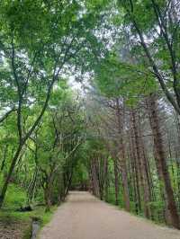 Old Gates, Mountain Vibes, and K-Drama Feels