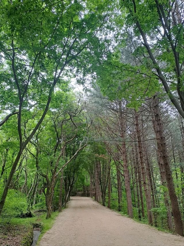 Old Gates, Mountain Vibes, and K-Drama Feels