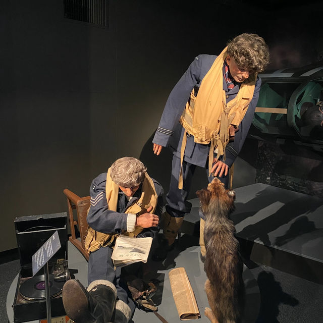 Christchurch: Free Warplane Museum! ✈️🆓