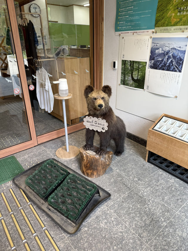  🏔️谷川岳インフォメーションセンターで自然と学びの時間を