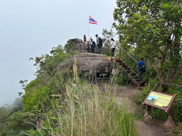 自然と歴史が織りなす美しい景色 🌿⛰️ プー・ヒン・ロン・クラで心を癒す旅を。  