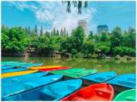 Sunshine Day @ People Park Chengdu