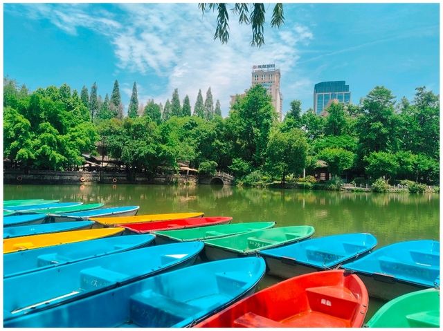 Sunshine Day @ People Park Chengdu