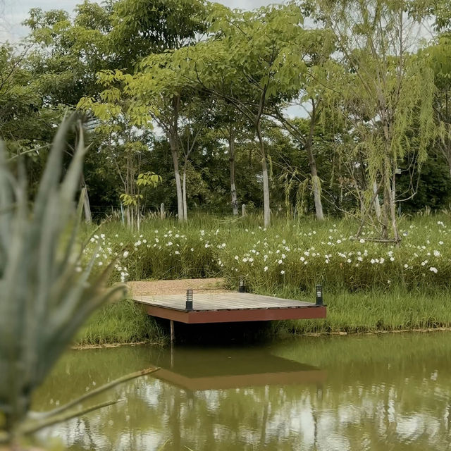 Meadow View Ratchaburi 🤎🎞️🧸💐🪑🍃