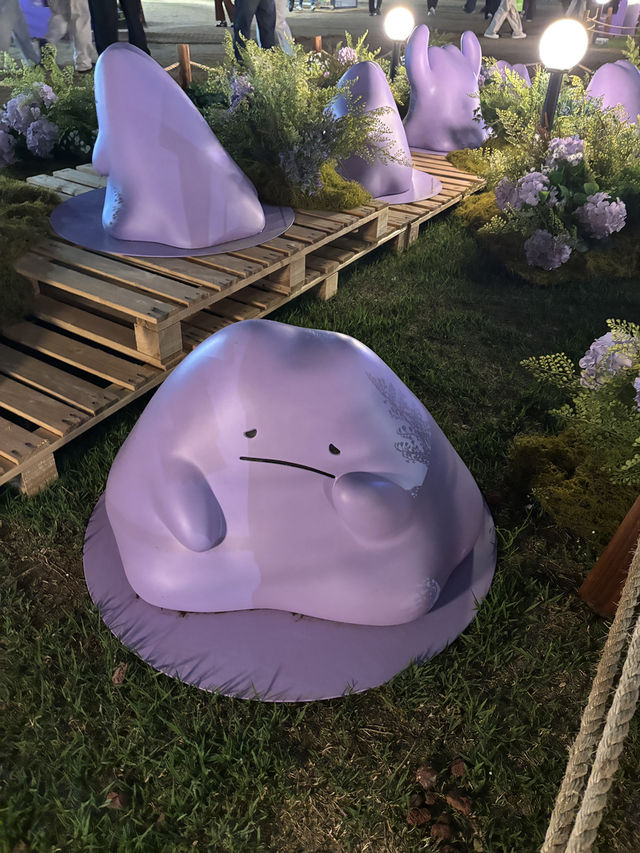 チャムシルのポケモンコラボ！！