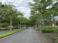 隱世美麗學府⋯花蓮 國立東華大學