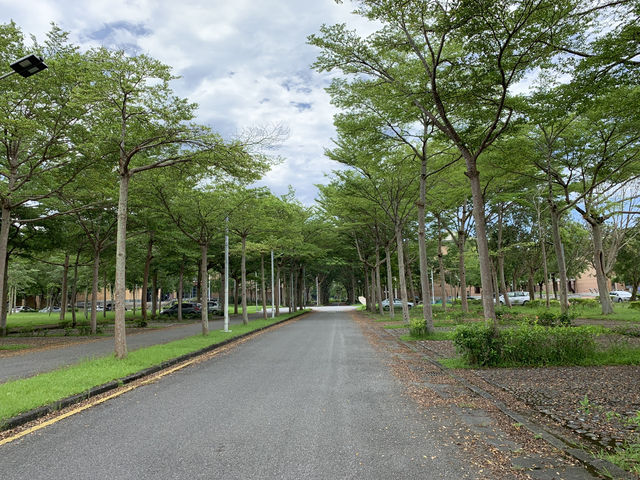 隱世美麗學府⋯花蓮 國立東華大學