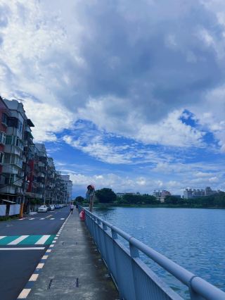 Taoyuan Night Heron Ecological Pond: A Serene Urban Oasis for Strolling and Birdwatching