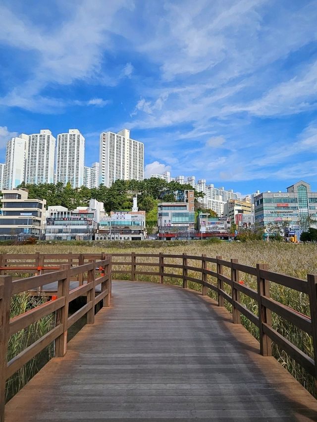 다대포는 유명한 일몰 장인임!
